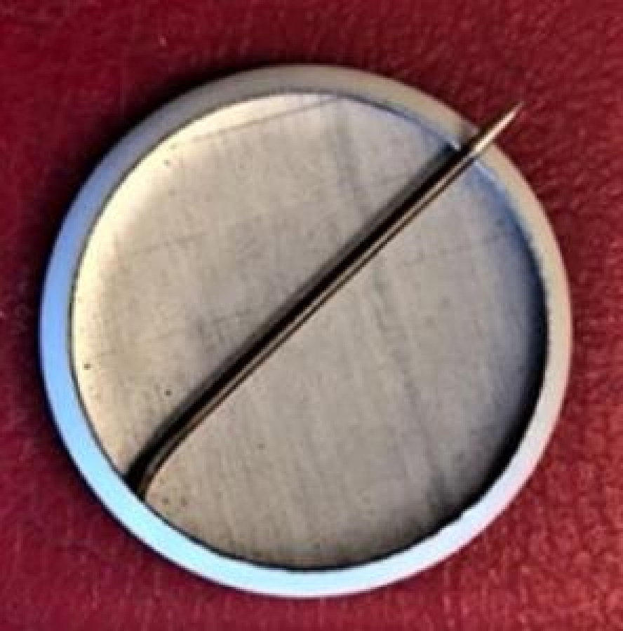 LİONS CLUP TENEKE SANDİEGO FEELS GOOD ALL OVER YAKA ROZETİ 