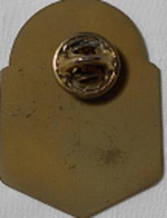 LİONS CLUP YAKA ROZET METAL ORJİNAL 118-TURKEY1988-1989 HİZMETTE LETS UNITE IN SERVICE 