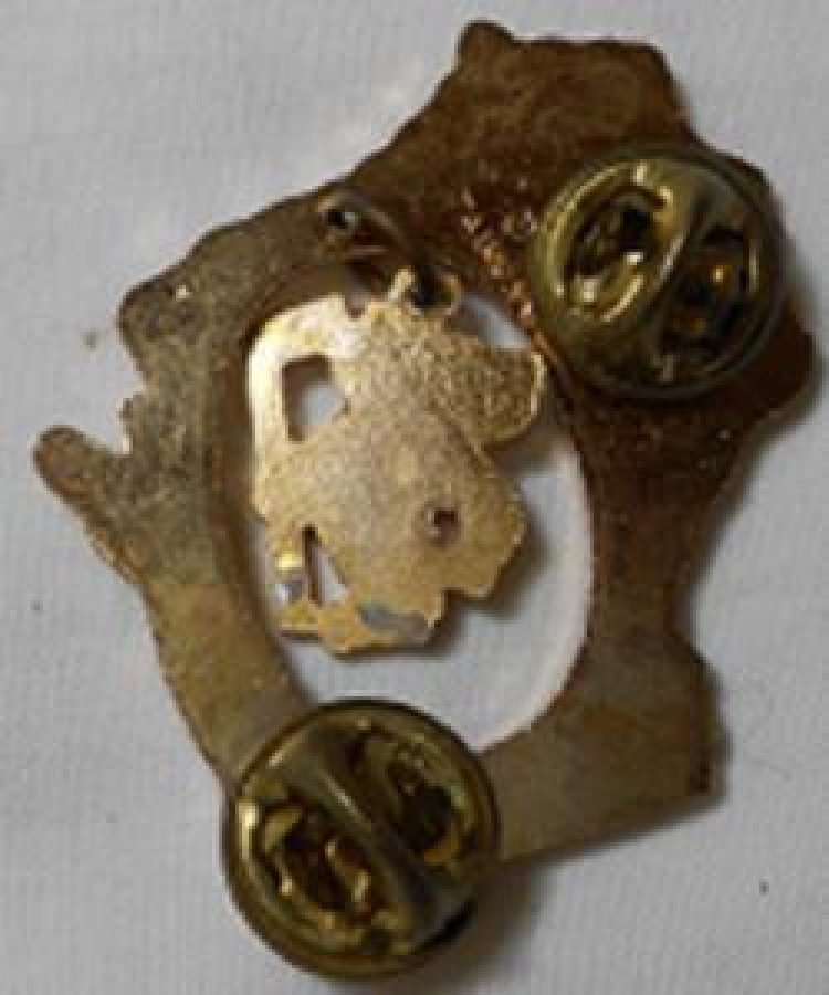 LİONS CLUP YAKA ROZET METAL ORJİNAL 1987 MADISON 