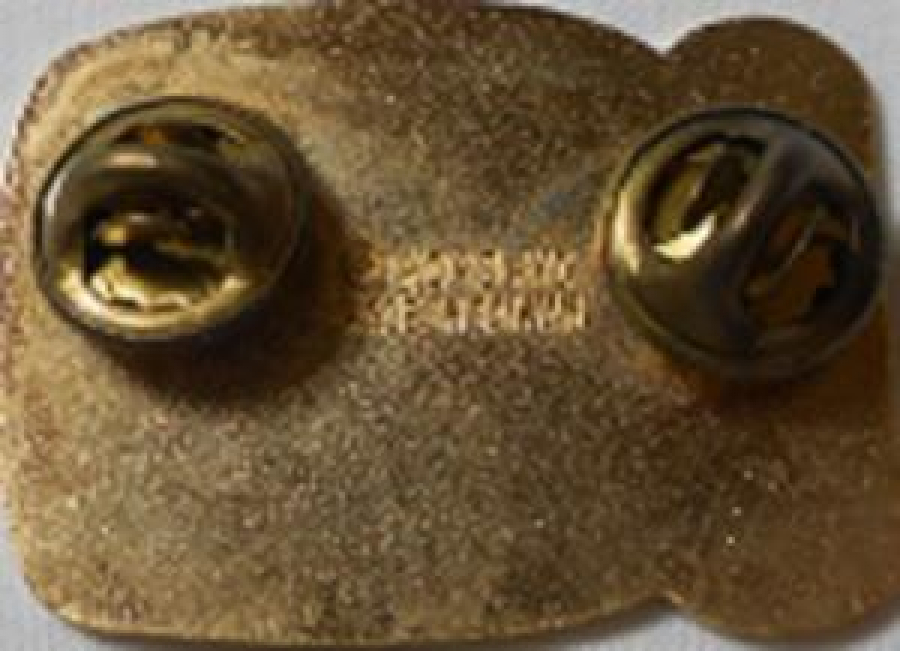 LİONS CLUP YAKA ROZET METAL ORJİNAL 1988 DISTRICT 43-C  