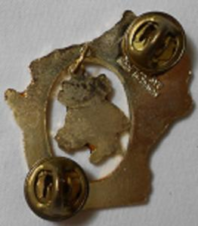 LİONS CLUP YAKA ROZET METAL ORJİNAL 1988 MADISON 