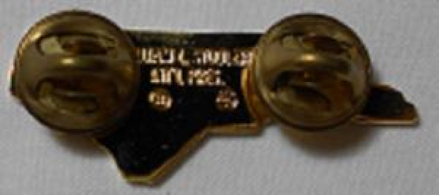 LİONS CLUP YAKA ROZET METAL ORJİNAL 1989-1990 100 / ATTENDANCE  