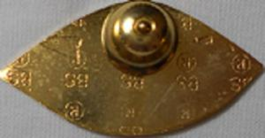 LİONS CLUP YAKA ROZET METAL ORJİNAL 324 D1 1992-93 REACHING HORIZON 