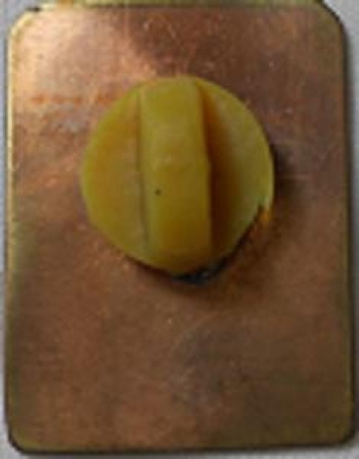 LİONS CLUP YAKA ROZET METAL ORJİNAL DISRIST GOVERNOR 1992-93 DIST.315A BANGLADESH 