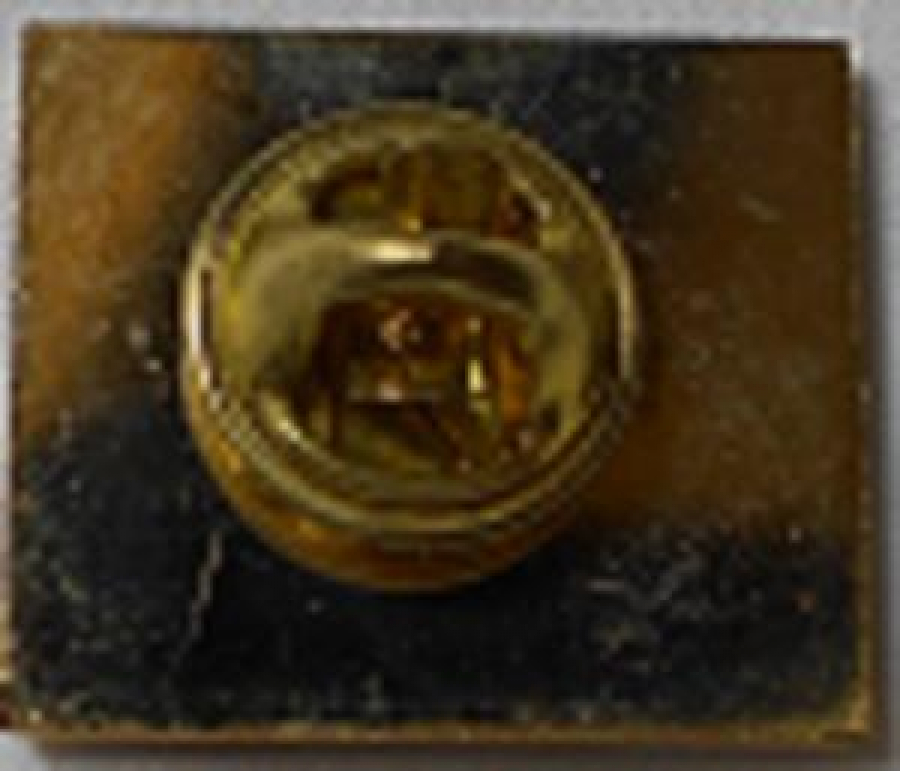 LİONS CLUP YAKA ROZET METAL ORJİNAL GIVE THEGIFT OFSIGHT LENSCRAFTERS LIONS CLUP INTERNATIONAL 