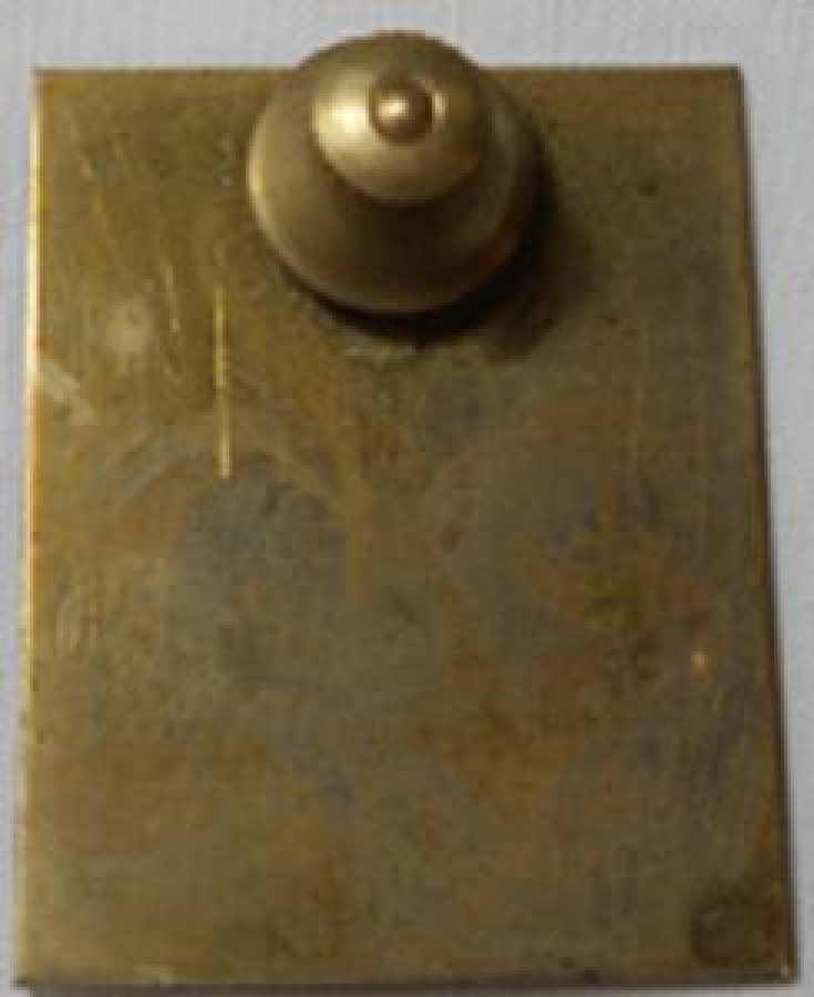 LİONS CLUP YAKA ROZET METAL ORJİNAL LION P P BHARDWAJ DISTT GOVERNOR DISTT-321-D 1981-82 