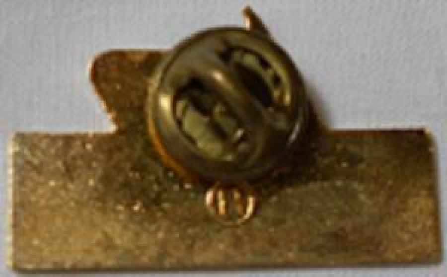 LİONS CLUP YAKA ROZET METAL ORJİNAL LIONS JOURNEY FOR SIGHT 