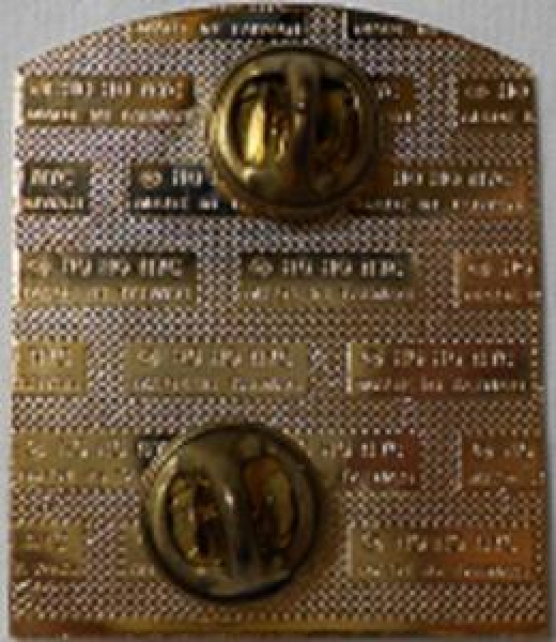 LİONS CLUP YAKA ROZET METAL ORJİNAL LONGUIEW PIONEER LIONS est1923 65th ANNIVERSARY OF SERVICE 