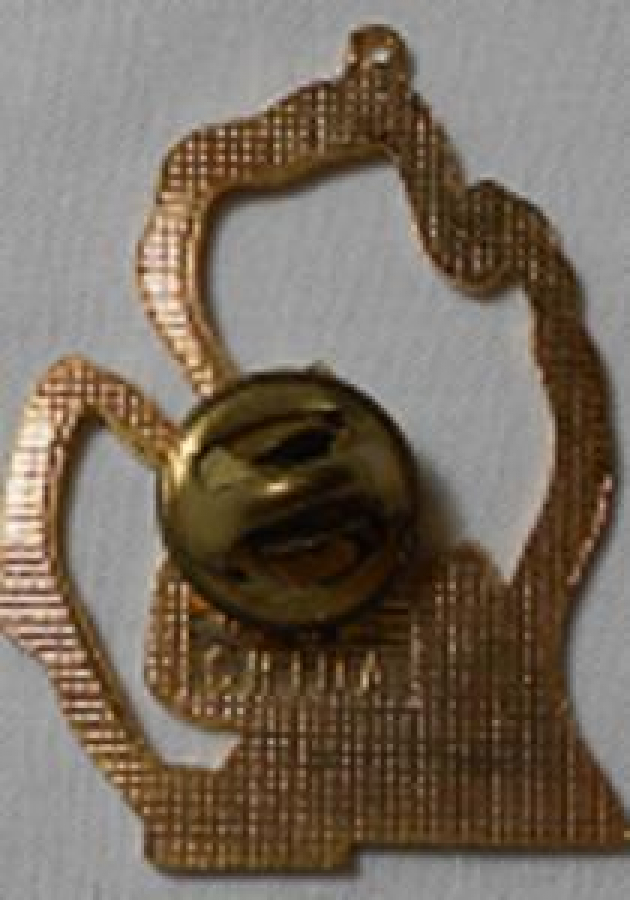 LİONS CLUP YAKA ROZET METAL ORJİNAL MDII HONG KONG 92 MICHIGAN 