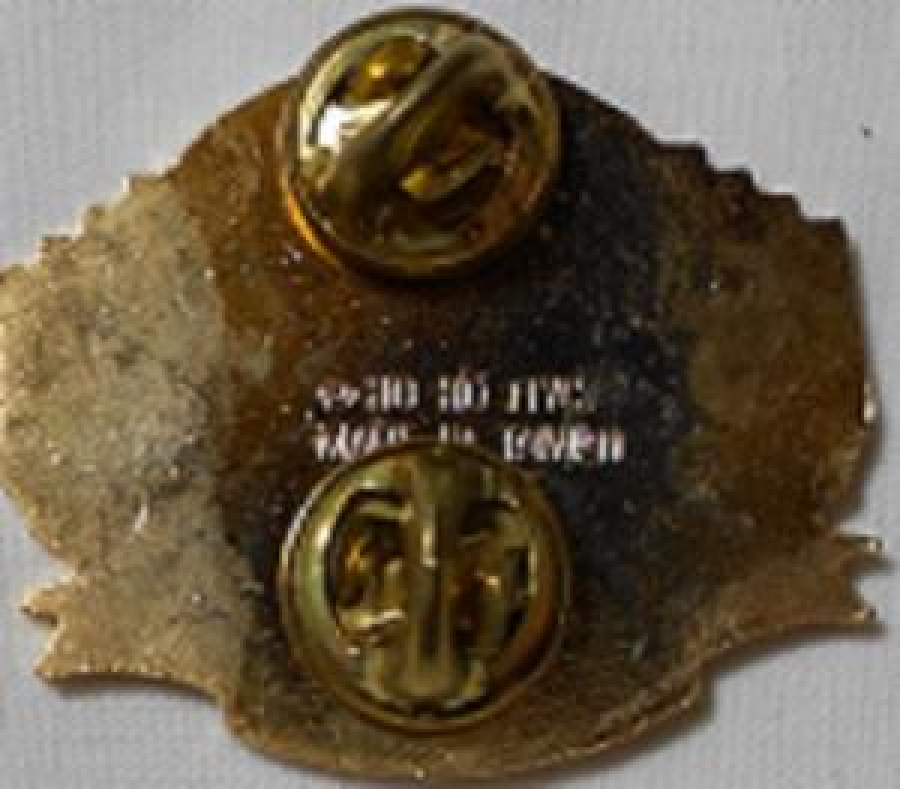 LİONS CLUP YAKA ROZET METAL ORJİNAL MUL TIPLE DISTRICT 20 NEW YORK BERMUDA 