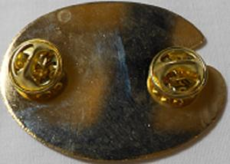 LİONS CLUP YAKA ROZET METAL ORJİNAL NEW ZEALAND AND ISLANDS OF THE SOUTH PACIFIC M.D. 202 1991 