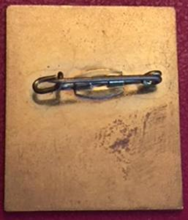 LİONS CLUP YAKA ROZET ORJİNAL 39. EUROPA FORUM WIEN 1993 MD 114 AUSTRIA 