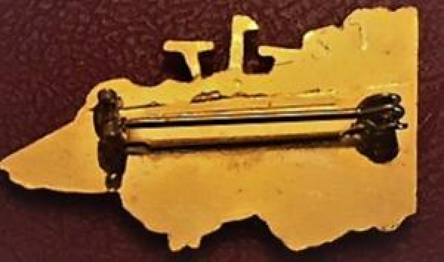 LİONS CLUP YAKA ROZET ORJİNAL DISTRICT 201 VICTORIA AUSTRALIA 