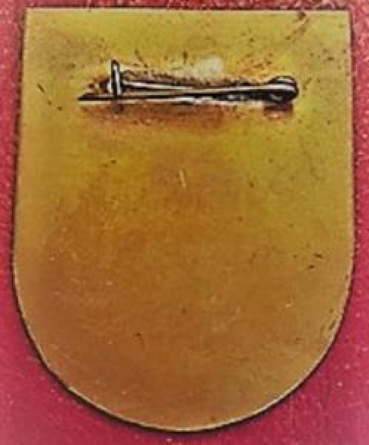 LİONS CLUP YAKA ROZET ORJİNAL ENSURE THE CHILDREN RIGHTS FOR BETTER TOMORROW LEO DIST. COUNCIL 315-A BANGLADESH 