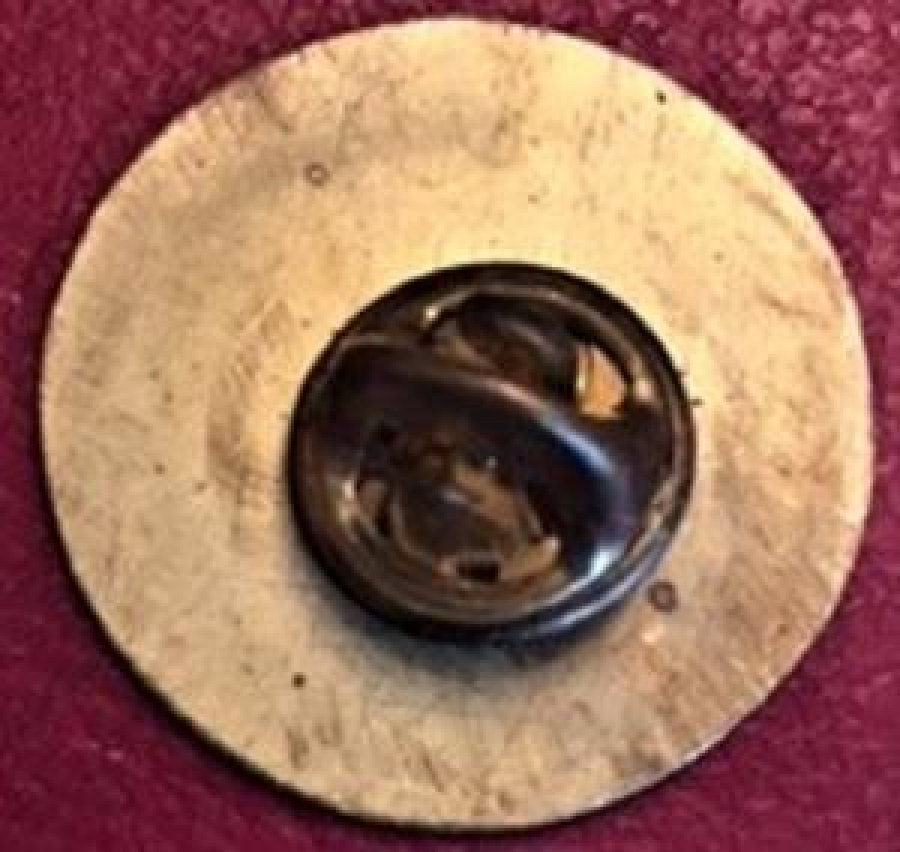 LİONS CLUP YAKA ROZET ORJİNAL GAZİOSMANPAŞA LIONESS KULÜBÜ 1987-88 D 