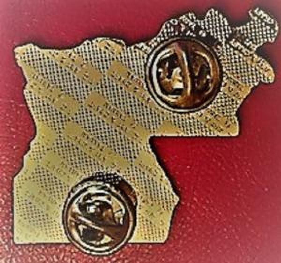 LİONS CLUP YAKA ROZET ORJİNAL HONG KONG 1992 LOUISIANA MD-8 