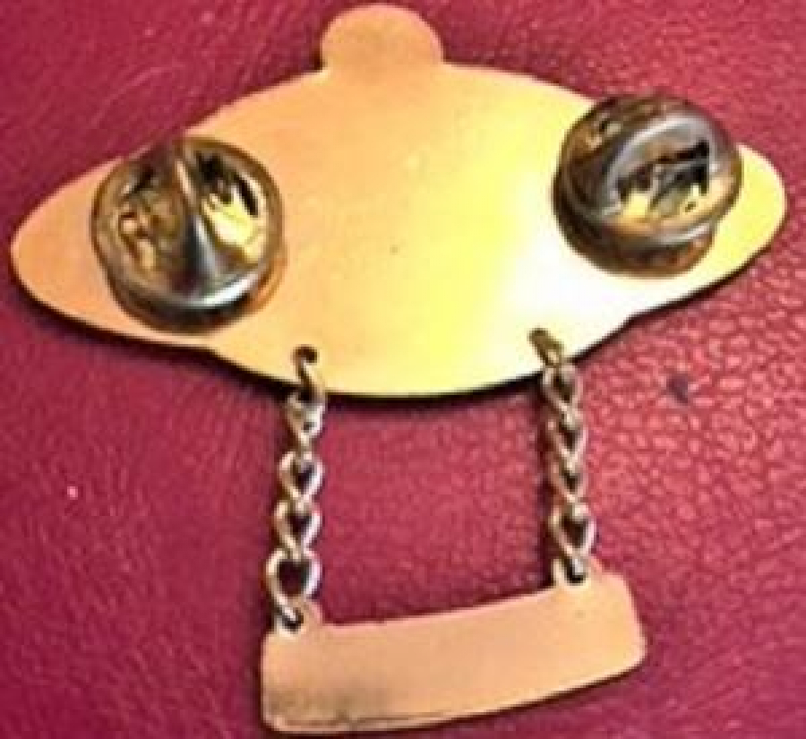 LİONS CLUP YAKA ROZET ORJİNAL METAL 15 LIONS LA CHINATOWN WE SERVE 