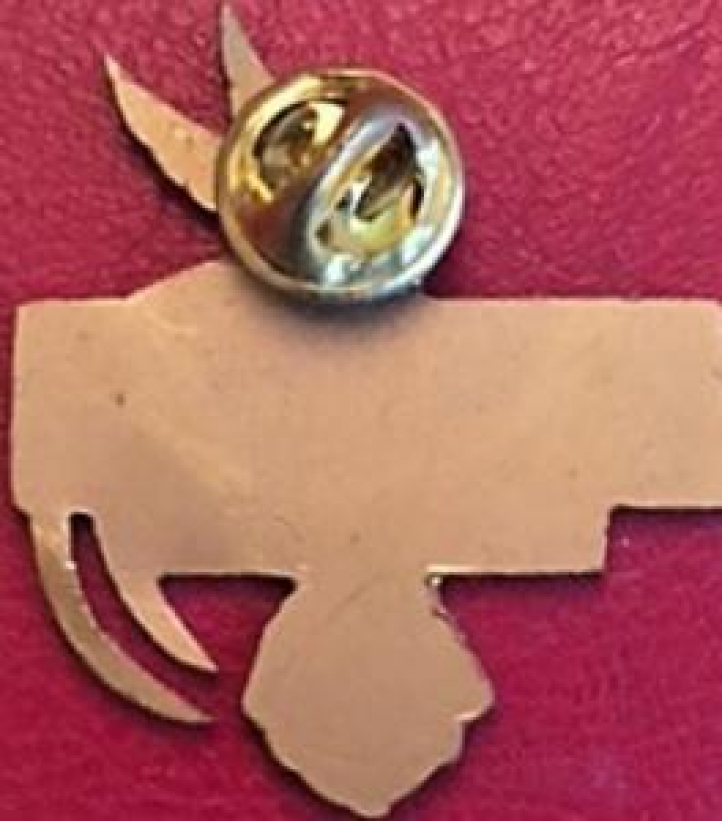 LİONS CLUP YAKA ROZET ORJİNAL METAL C.L. CARLDS SAMUEL AREVALO GOBERNADOR 94/95 DISTRITO D-3 GUATEMALA C.A. 