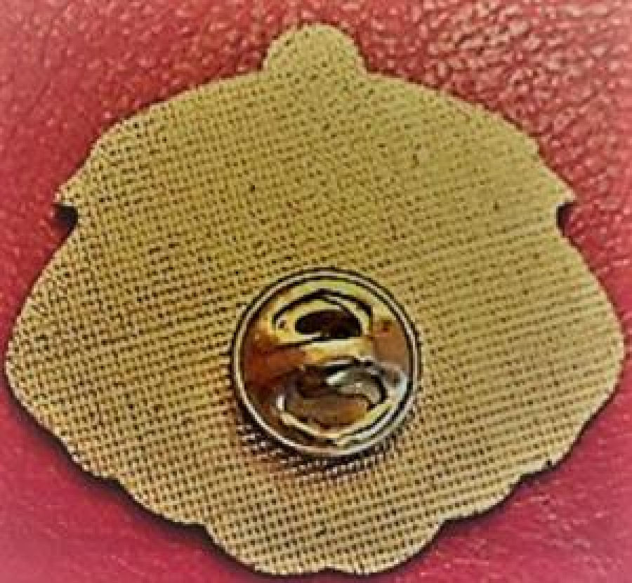 LİONS CLUP YAKA ROZET ORJİNAL METAL DENVER 1988 COLOMBIA F 