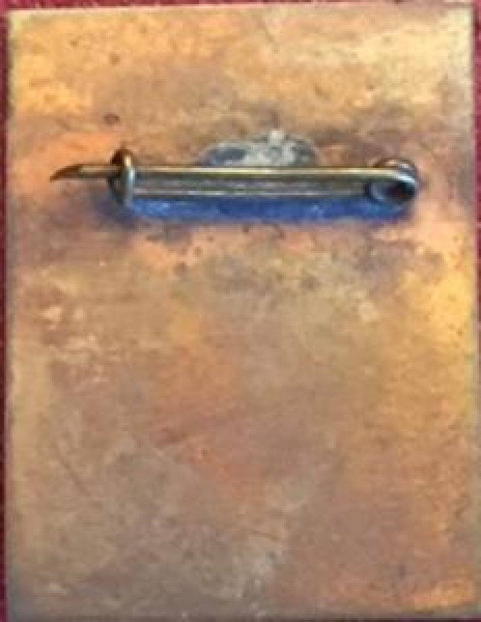 LİONS CLUP YAKA ROZET ORJİNAL METAL DIST PRESIDENT 1992-93 WE YES PEACE FARHAN NOOR DIST 315 B.BANGLADESH  