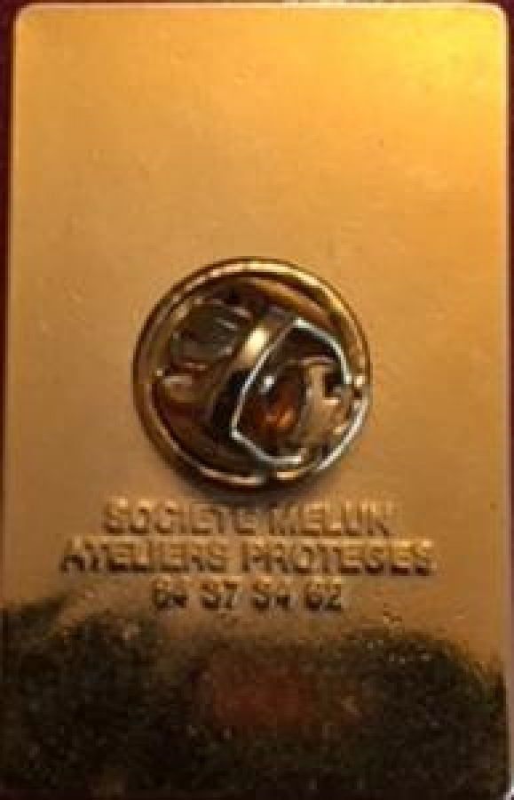 LİONS CLUP YAKA ROZET ORJİNAL METAL DM.103 FRANCE