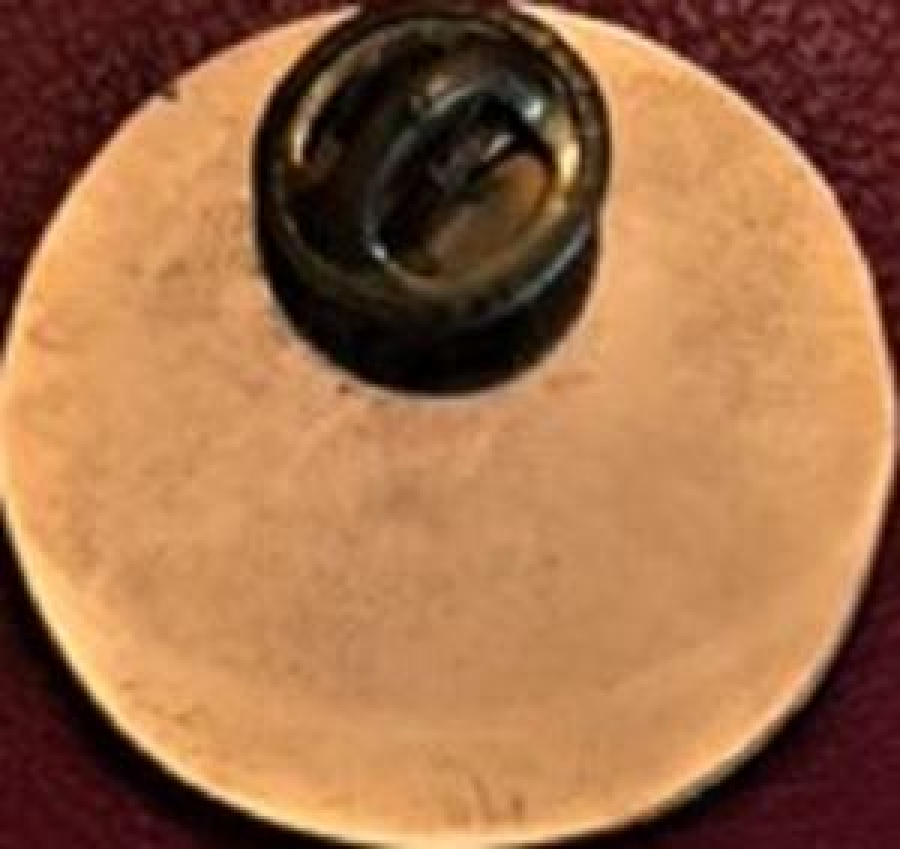 LİONS CLUP YAKA ROZET ORJİNAL METAL INDIA 1986-87 DIST 324-A1 PEACE AND PERFECTON-THE LIONS WAY