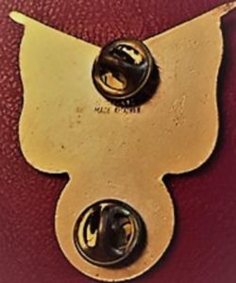 LİONS CLUP YAKA ROZET ORJİNAL METAL KINGS QUEENS DISTRICT 20-KI N.Y. 1984 