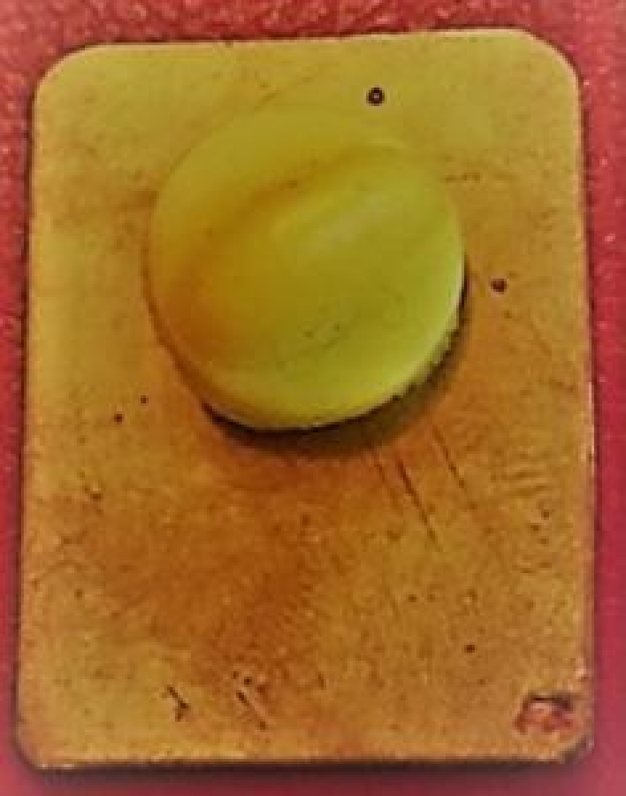 LİONS CLUP YAKA ROZET ORJİNAL METAL MİNE ROZET DISTRICT GOVERNOR 1992-93 DIST 315A BANGLADESH