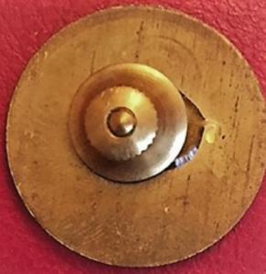 LİONS CLUP YAKA ROZET ORJİNAL METAL MİNE ROZET LIONS NEPAL 