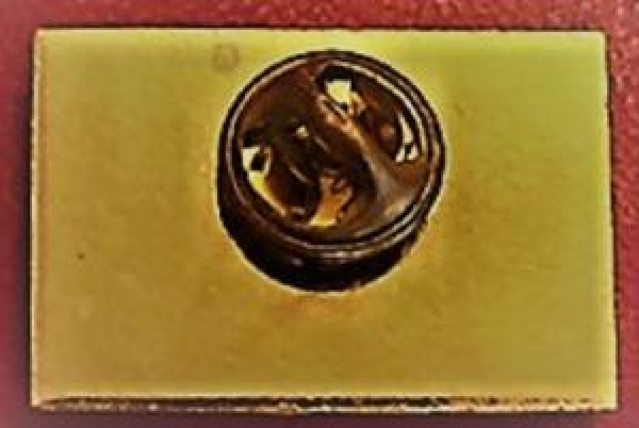 LİONS CLUP YAKA ROZET ORJİNAL METAL MİNE ROZET 