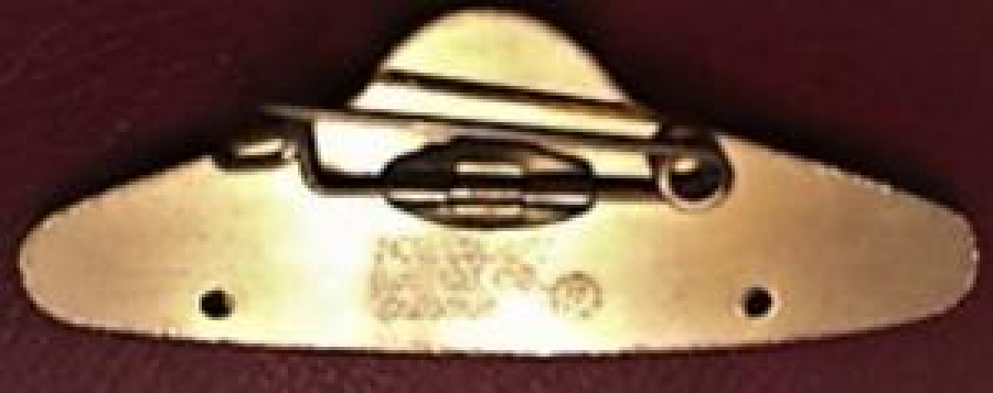 LİONS CLUP YAKA ROZET ORJİNAL METAL MİNE TAŞLI ROZET ROZET 1917 TAIPEI 1987 