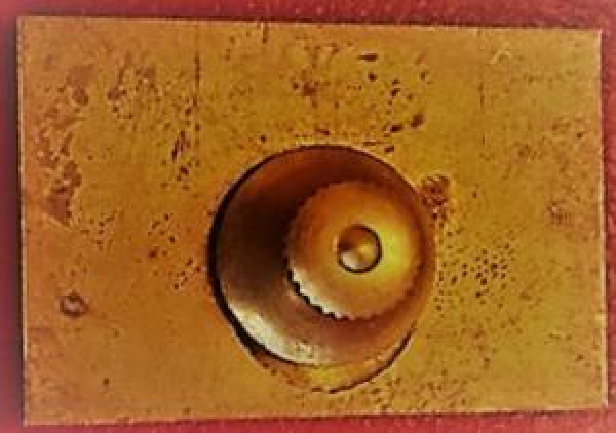 LİONS CLUP YAKA ROZET ORJİNAL METAL MİNE TAŞLI ROZET ROZET SERVE & LEAD 321-E D.G.90-91 LION SUDARSHAN MALHOT