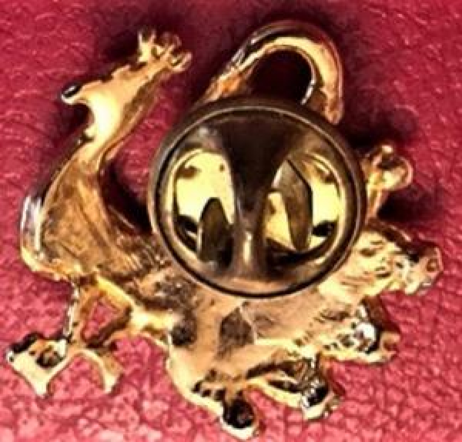 LİONS CLUP YAKA ROZET ORJİNAL METAL MİNE TAŞLI ROZET ROZET 