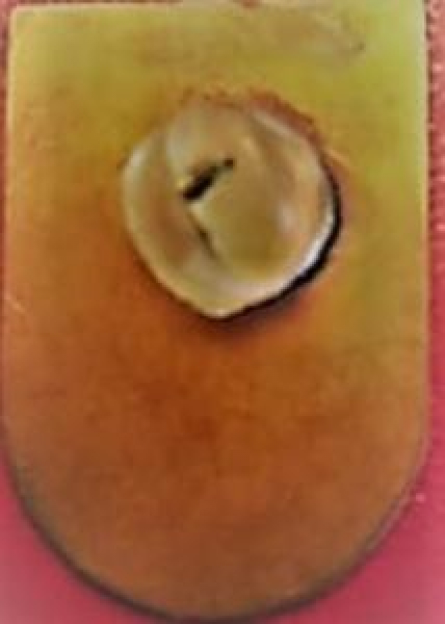 LİONS CLUP YAKA ROZET ORJİNAL METAL WE SERVE SIGHT FIRST EDUCATION MUST LN.M.G. MORSHED DISTRICT COVERNOR 1992-93 DISTRICT 315 B BANGLADESH 