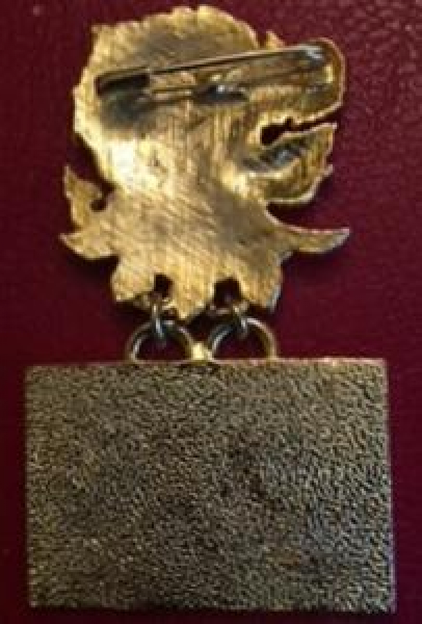 LİONS KÜLÜBÜNÜN RAMA BANGKOK MİNELİ METAL YAKA ROZETİ ORJİNAL 