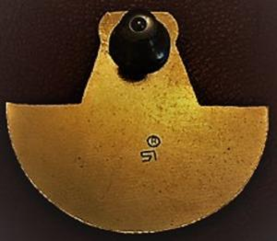 LİONS KÜLÜP RÖZET DISTRICT-324-B3-INDIA-1992-93