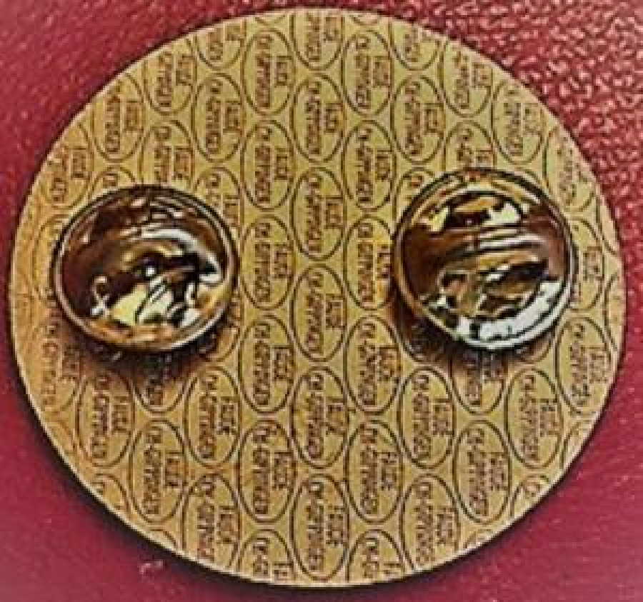 LİONS KÜLÜP RÖZET GENEVE LIONS MULTIDISTRICT 102 PHOENIX 1994 SWITZERLAND LIECHTENSTEIN 