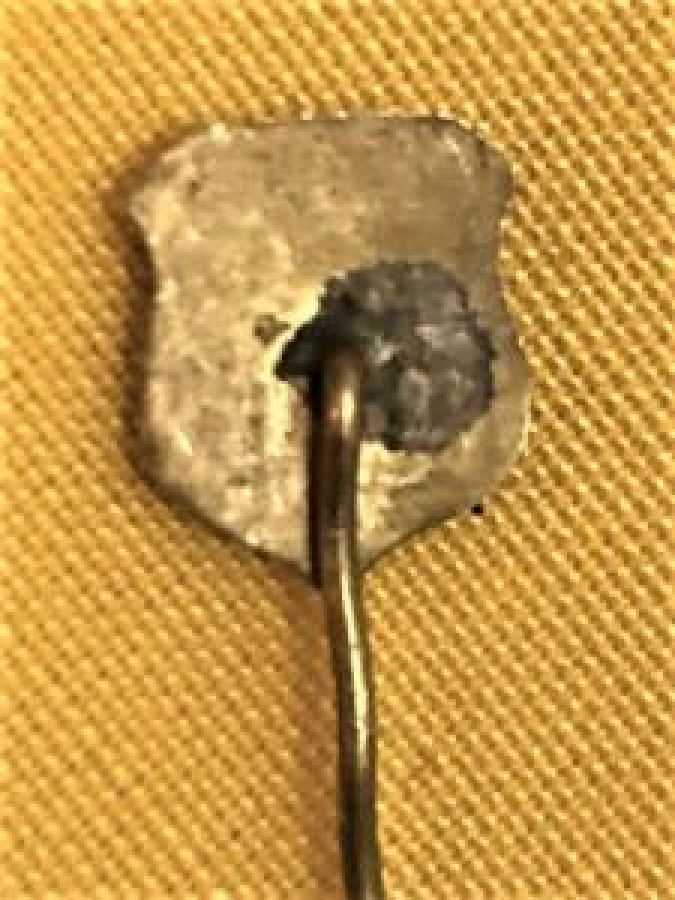 1909 TARİHLİ SOUK MİNE ÜZERİ AKRİLİK İĞNELİ BEŞİKTAŞ ROZET