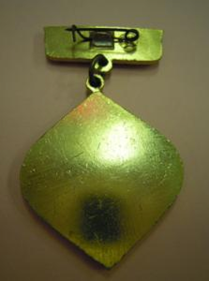 1981 MUNVODXOZ LUCŞİY PRİEKT SSSR MADALYA