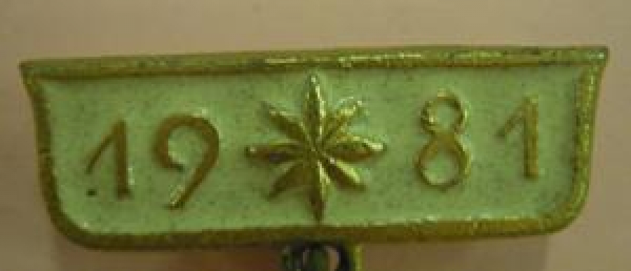 1981 MUNVODXOZ LUCŞİY PRİEKT SSSR MADALYA