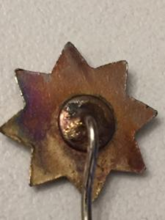 İĞNELİ POLİS ARMASI ROZET