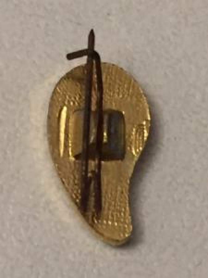 KIZILAY VE KIZILHAC İTTİFAK ROZET SOVYETLER BİRLİGİ USSR RUSYA ZAMANI SICAK MİNE ARKASI CENGEL İGNELİ KAN DAMLASI MİNELİ ROZET 