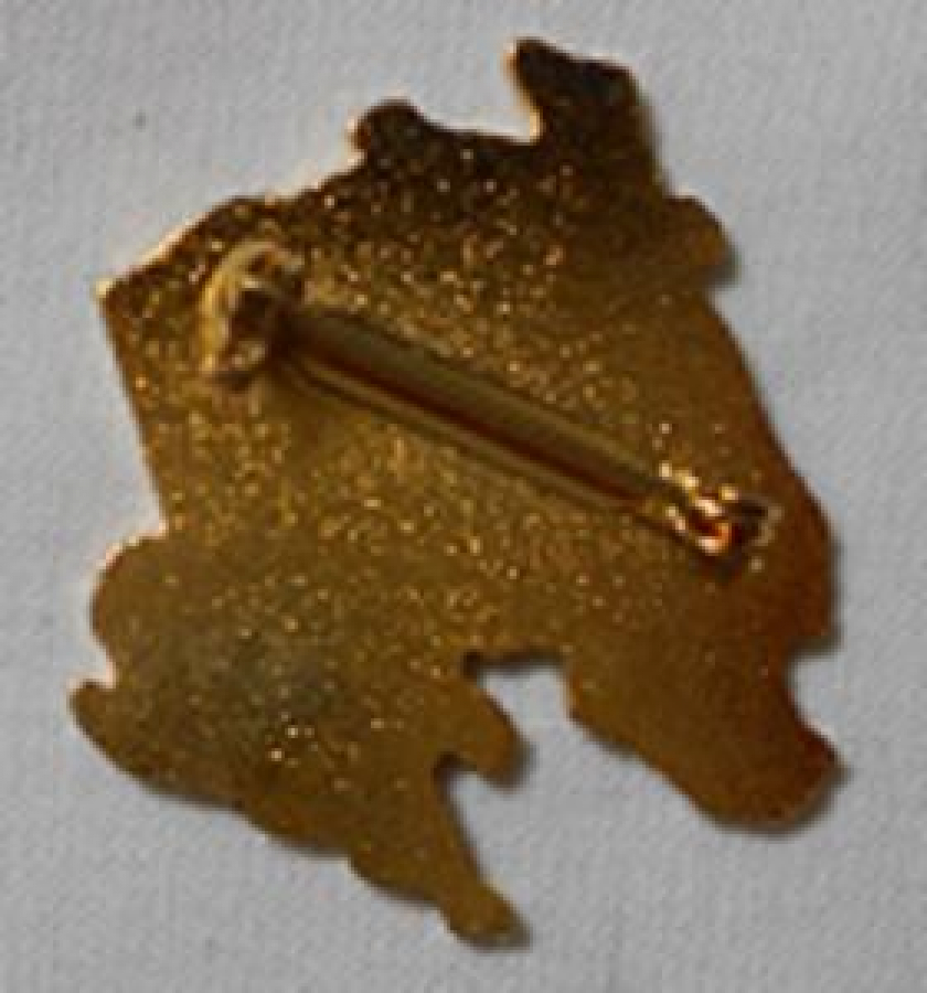 LİONS CLUP YAKA ROZET METAL ORJİNAL BRITISH ISLES IRELAND MD 105 