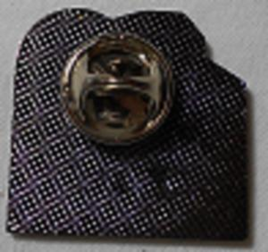 LİONS CLUP YAKA ROZET METAL ORJİNAL CLUP DE LEONES DE BİLBAO 