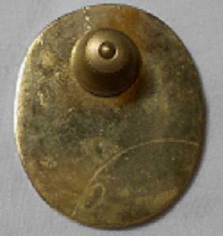 LİONS CLUP YAKA ROZET METAL ORJİNAL LİONISM-LIFES OPPORTUNITY-AVAILII TOGETHER WE SERVE DIST 324 B2 1992-93 