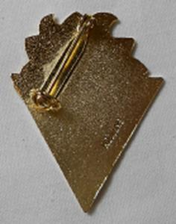 LİONS CLUP YAKA ROZET METAL ORJİNAL NORTH DELTA B.C 