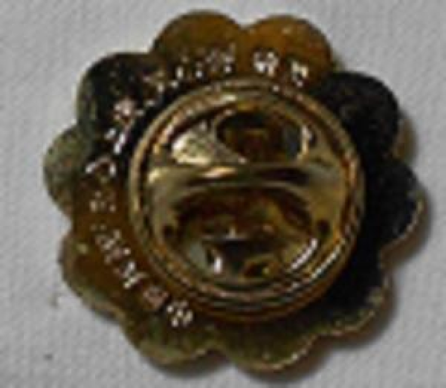 LİONS CLUP YAKA ROZET METAL ORJİNAL