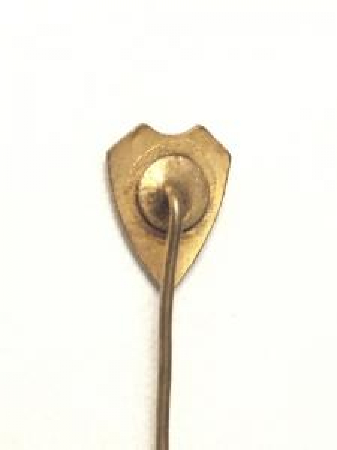 MİNELİ 1923 İĞNELİ ROZET