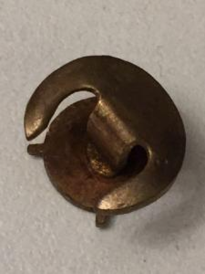 ROYAL LIFE SAVING SOCIETY DENİZ SPORLARI MİNELİ ROZET 