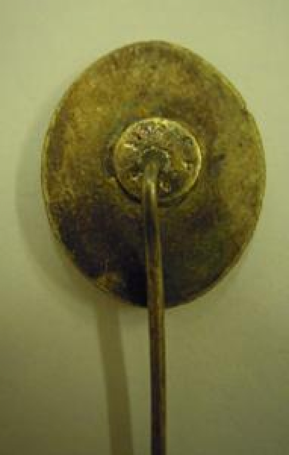 SICAK MİNE İŞCİLİKLİ İĞNELİ ROZET